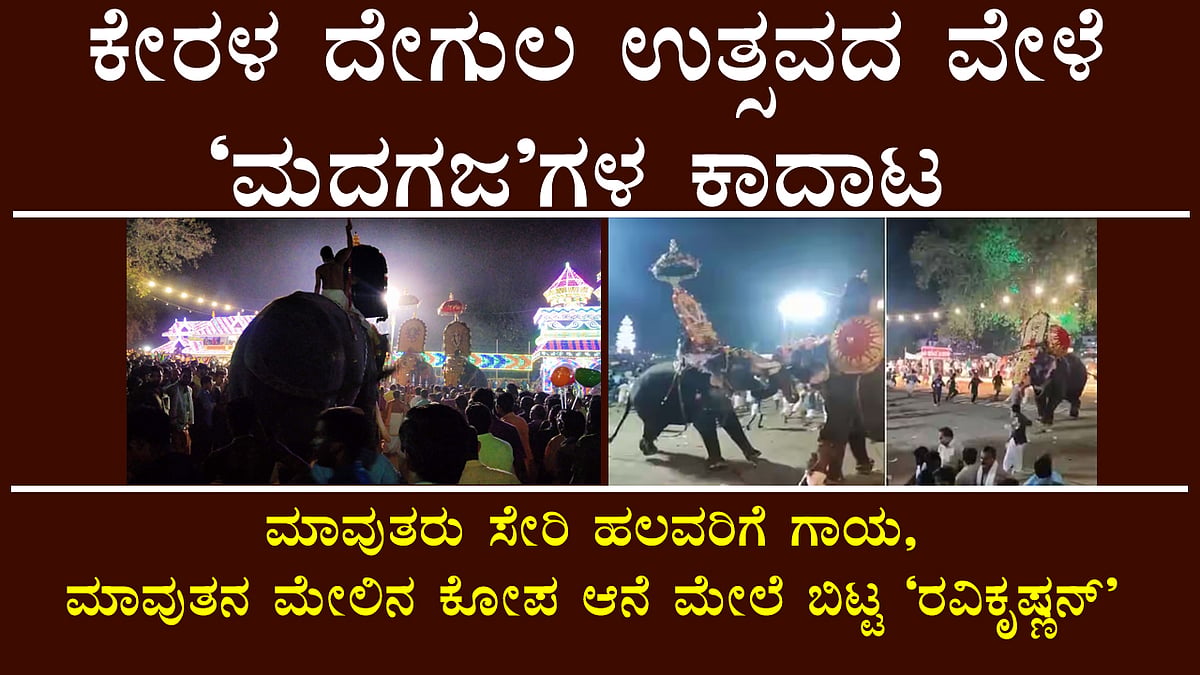 Viral Video: ಕೇರಳ ದೇಗುಲ ಉತ್ಸವದ ವೇಳೆ 'ಮದಗಜ'ಗಳ ಕಾದಾಟ