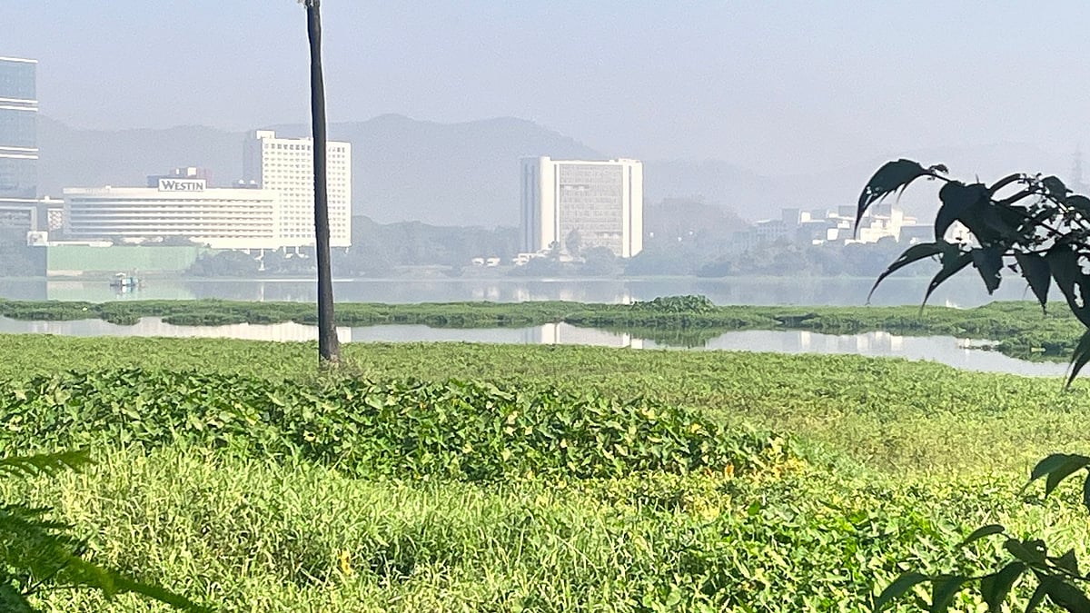 Powai lake: ಪೊವೈ ಕೆರೆಯಿಂದ 5,895 ಮೆಟ್ರಿಕ್ ಟನ್ ಜೊಂಡು ಹೊರಹಾಕಿದ BMC
