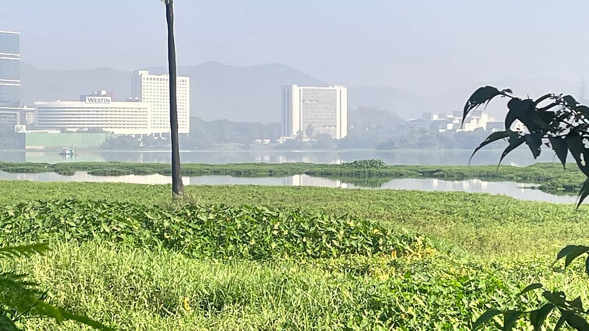 Powai lake: ಪೊವೈ ಕೆರೆಯಿಂದ 5,895 ಮೆಟ್ರಿಕ್ ಟನ್ ಜೊಂಡು ಹೊರಹಾಕಿದ BMC