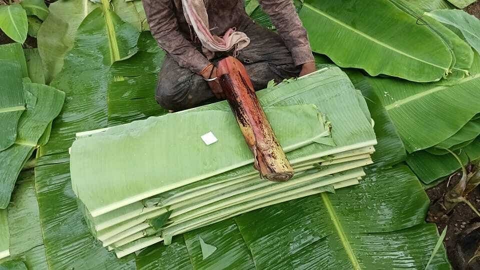 ಬೆಂಗಳೂರು ಜಲಕ್ಷಾಮ: ಬಾಳೆ ಎಲೆ, ಪೇಪರ್ ಪ್ಲೇಟ್ ಗೆ ಡಿಮ್ಯಾಂಡ್, ಬೆಲೆ ಗಗನಕ್ಕೆ!