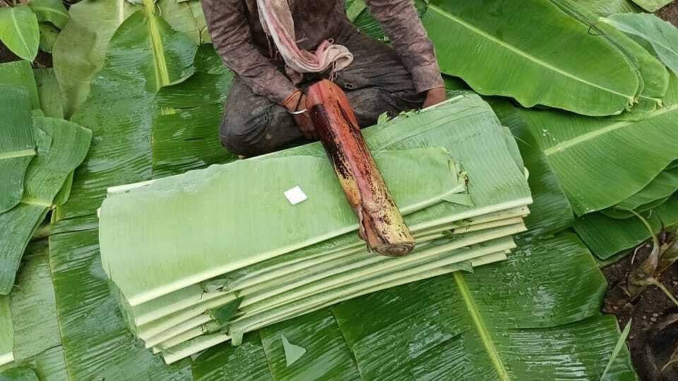 ಬೆಂಗಳೂರು ಜಲಕ್ಷಾಮ: ಬಾಳೆ ಎಲೆ, ಪೇಪರ್ ಪ್ಲೇಟ್ ಗೆ ಡಿಮ್ಯಾಂಡ್, ಬೆಲೆ ಗಗನಕ್ಕೆ!