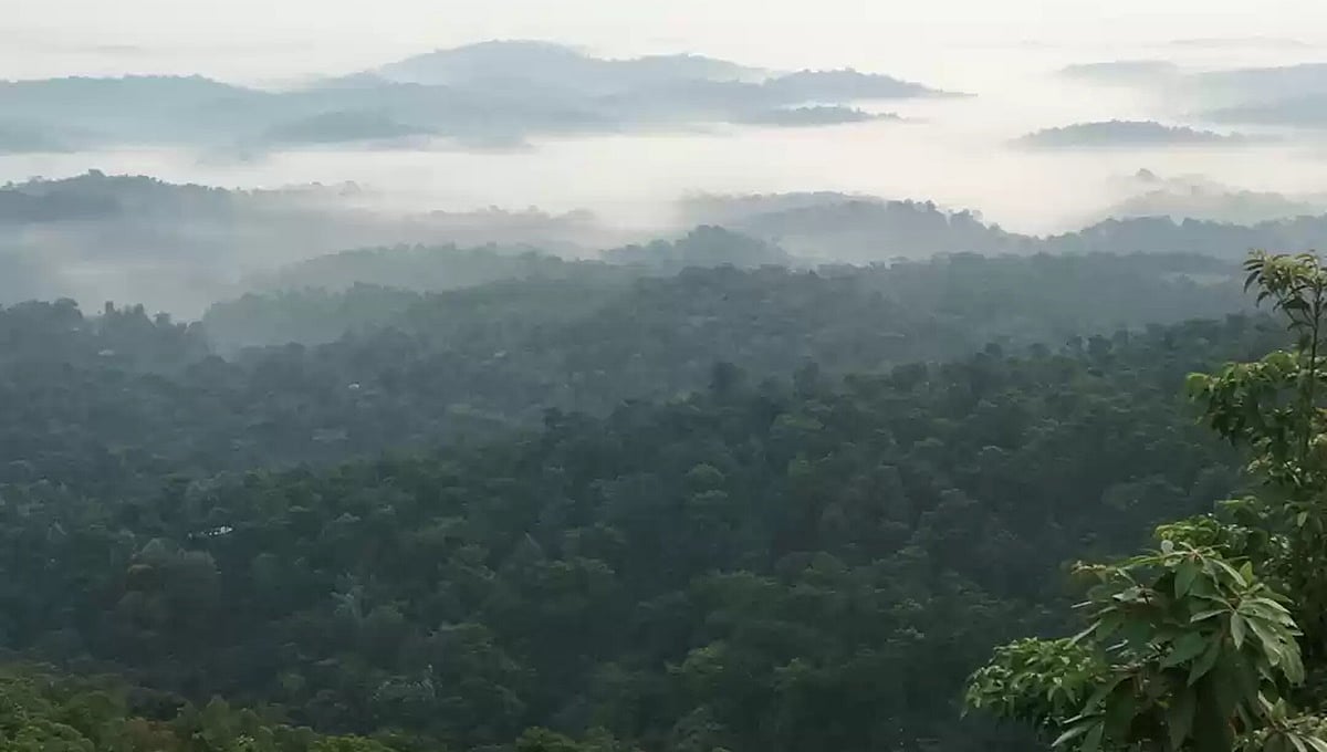 ಕೊಡಗು: ಮನೆ ನಿವೇಶನಕ್ಕಾಗಿ ಸುಮಾರು 2,400 ಎಕರೆ ಕಾಫಿ ಎಸ್ಟೇಟ್ ಪರಿವರ್ತನೆ ಆರೋಪ, ತನಿಖೆಗೆ CNC ಒತ್ತಾಯ