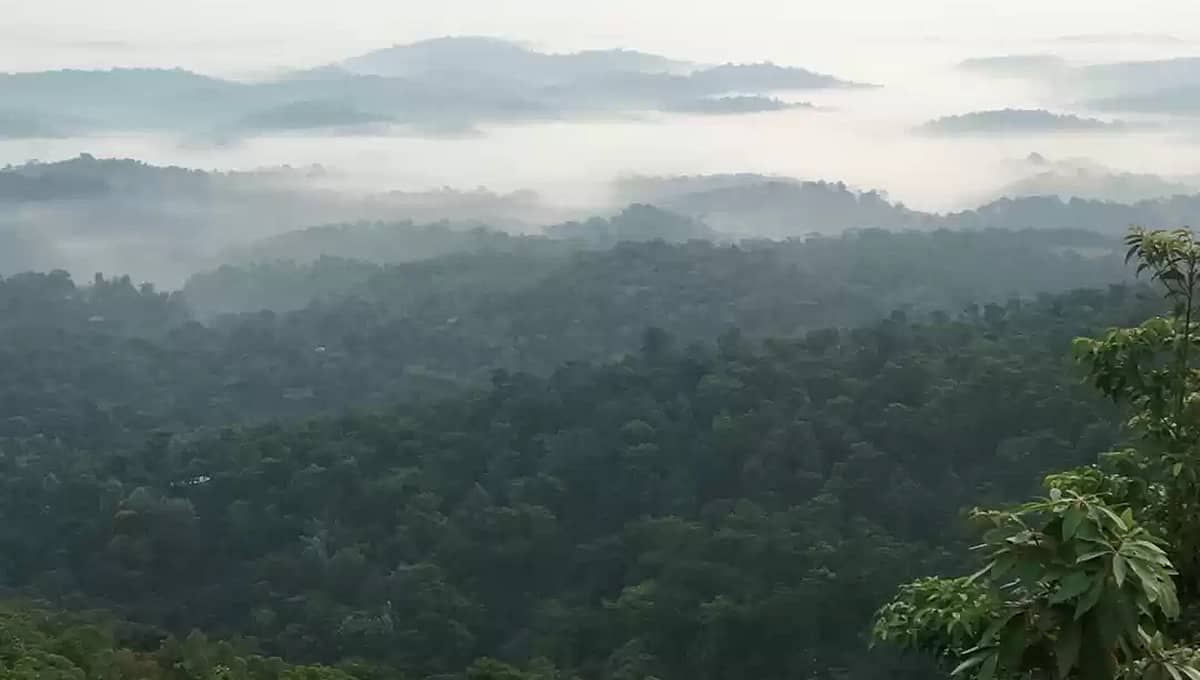 ಕೊಡಗು: ಮನೆ ನಿವೇಶನಕ್ಕಾಗಿ ಸುಮಾರು 2,400 ಎಕರೆ ಕಾಫಿ ಎಸ್ಟೇಟ್ ಪರಿವರ್ತನೆ ಆರೋಪ, ತನಿಖೆಗೆ CNC ಒತ್ತಾಯ