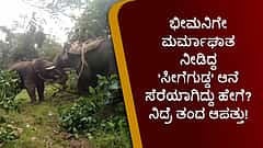 Operation Seegegudda: ಭೀಮನಿಗೇ ಮರ್ಮಾಘಾತ ನೀಡಿದ್ದ 'ಸೀಗೆಗುಡ್ಡ' ಆನೆ ಸೆರೆಯಾಗಿದ್ದು ಹೇಗೆ? ನಿದ್ರೆ ತಂದ ಆಪತ್ತು!