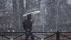 Karnataka Rains: ಉತ್ತರ ಕರ್ನಾಟಕದಲ್ಲಿ 'ಭಾರಿ ಮಳೆ' ಮುನ್ಸೂಚನೆ; ಬೆಂಗಳೂರಿನ ಬಗ್ಗೆ ಹವಾಮಾನ ಇಲಾಖೆ ಹೇಳಿದ್ದೇನು?