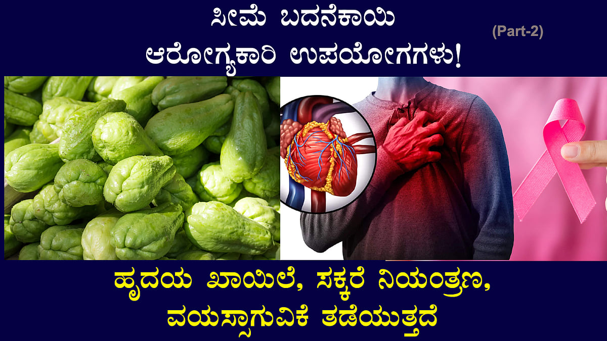 ಹೃದಯ, ಸಕ್ಕರೆ ನಿಯಂತ್ರಣ, ವಯಸ್ಸಾಗುವಿಕೆ: ಸೀಮೆ ಬದನೆಕಾಯಿ ಆರೋಗ್ಯಕಾರಿ ಉಪಯೋಗಗಳು!