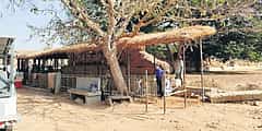 ತಾಪಮಾನ ಹೆಚ್ಚಳ: ಕಳೆದ 10 ವರ್ಷಗಳಲ್ಲೇ ಈ ಬಾರಿ  ಹಂಪಿಯಲ್ಲಿ ಪ್ರವಾಸಿಗರ ಸಂಖ್ಯೆಯಲ್ಲಿ ಭಾರೀ ಇಳಿಕೆ!