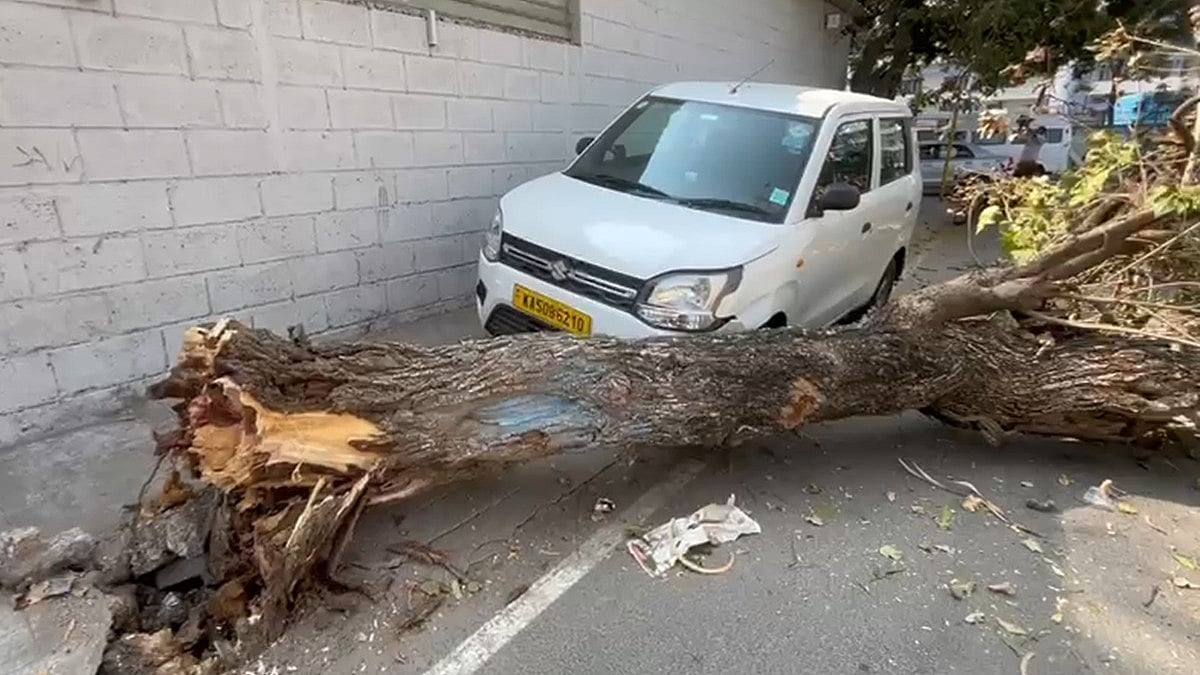 ಬೆಂಗಳೂರು: ಮತಗಟ್ಟೆ ಸಮೀಪ ಧರೆಗುರುಳಿದ ಬೃಹತ್ ಮರ, ತಪ್ಪಿದ ಭಾರೀ ದುರಂತ