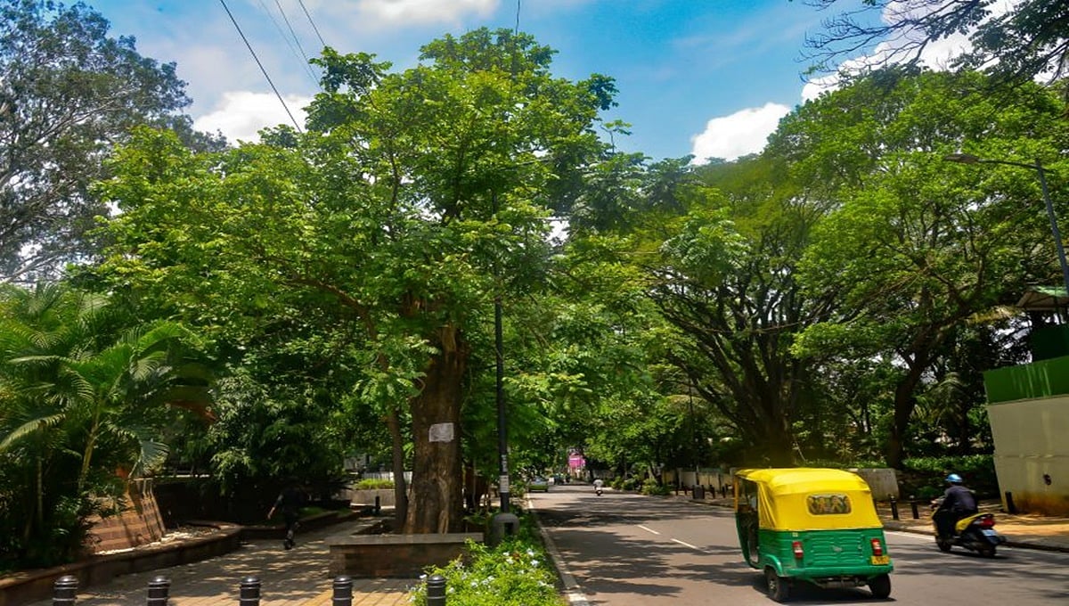 ಬೆಂಗಳೂರು ಉಪನಗರ ರೈಲು ಯೋಜನೆ: 32,572 ಮರಗಳಿಗೆ ಕೊಡಲಿ ಪೆಟ್ಟು!