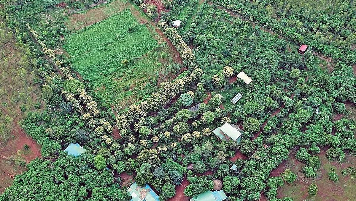 ಬೆಂಗಳೂರು: 2,602 ಎಕರೆ ಒತ್ತುವರಿ ಭೂಮಿಯನ್ನು ವಶಪಡಿಸಿಕೊಂಡ ಅರಣ್ಯ ಇಲಾಖೆ