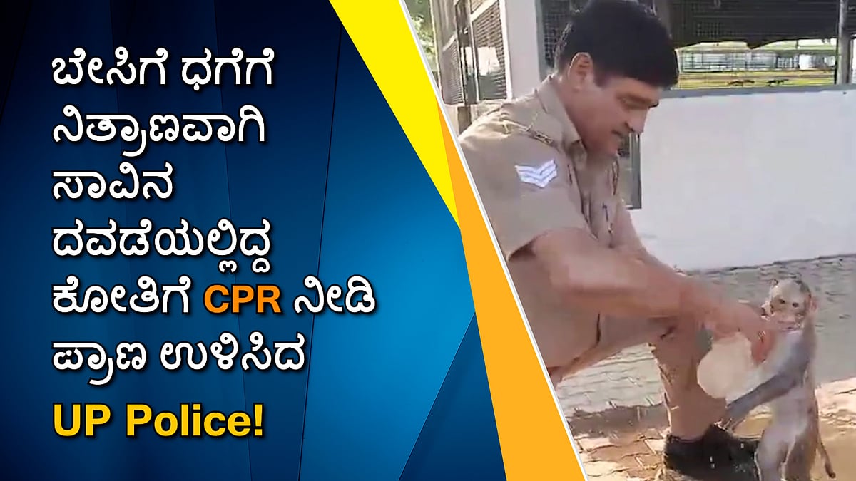 ಬೇಸಿಗೆ ಧಗೆಗೆ ನಿತ್ರಾಣವಾಗಿ ಸಾವಿನ ದವಡೆಯಲ್ಲಿದ್ದ ಕೋತಿಗೆ CPR ನೀಡಿ ಪ್ರಾಣ ಉಳಿಸಿದ Police!