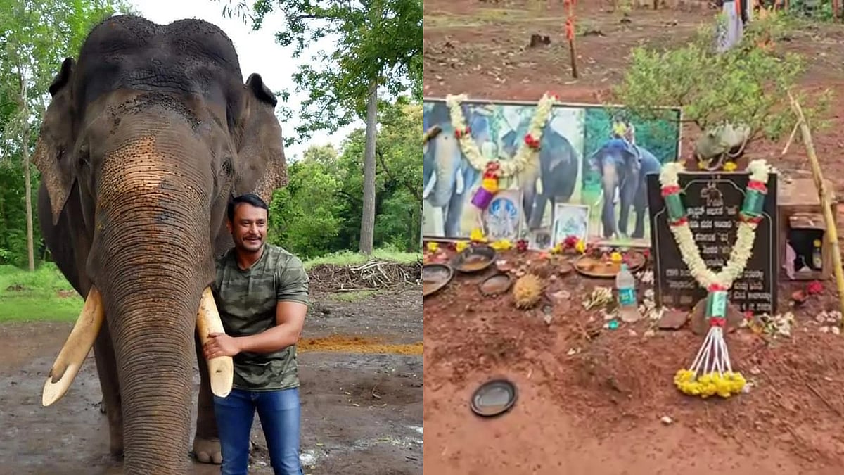 ಅರ್ಜುನ ಆನೆ ಸ್ಮಾರಕ ನಿರ್ಮಾಣಕ್ಕೆ ನಟ Darshan Thoogudeepa ನೆರವು, ಸ್ಲ್ಯಾಬ್ ಕಲ್ಲುಗಳ ಪೂರೈಕೆ; Video