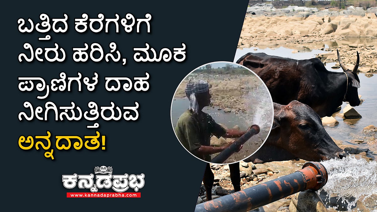 ಬತ್ತಿದ ಕೆರೆಗೆ ಬೋರ್​ವೆಲ್‌ನಿಂದ ನೀರು ಹರಿಸಿ ಮೂಕ ಪ್ರಾಣಿಗಳ ದಾಹ ನೀಗಿಸುತ್ತಿರುವ ರೈತ!
