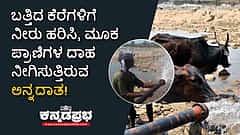 ಬತ್ತಿದ ಕೆರೆಗೆ ಬೋರ್ವೆಲ್ನಿಂದ ನೀರು ಹರಿಸಿ ಮೂಕ ಪ್ರಾಣಿಗಳ ದಾಹ ನೀಗಿಸುತ್ತಿರುವ ರೈತ!