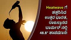 Heatwaveಗೆ ತತ್ತರಿಸಿದ ಉತ್ತರ ಭಾರತ, ರಾಜಸ್ತಾನದ ಬಾರ್ಮರ್ ನಲ್ಲಿ 48.8 ಡಿಗ್ರಿ ತಾಪಮಾನ!