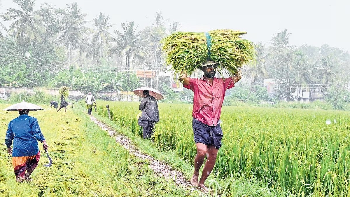 ನಿಕೋಬಾರ್ ದ್ವೀಪಗಳು, ದಕ್ಷಿಣ ಅಂಡಮಾನ್ ಸಮುದ್ರ ಮೇಲೆ ನೈಋತ್ಯ ಮುಂಗಾರು ಆರಂಭ: IMD ಮುನ್ಸೂಚನೆ