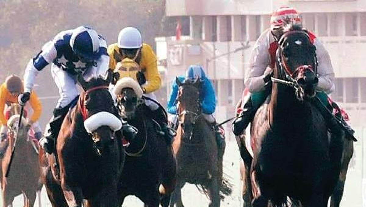 Horse Race ನಡೆಸಲು High court ಅನುಮತಿ ಕೋರಿದ ಬೆಂಗಳೂರು ಟರ್ಫ್ ಕ್ಲಬ್: ನಿಲುವು ತಿಳಿಸಲು ಸರ್ಕಾರಕ್ಕೆ ಸೂಚನೆ