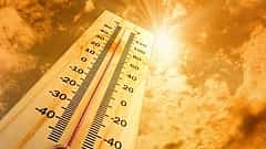 Heatwave ಗೆ ತತ್ತರಿಸಿದ ದೆಹಲಿ: 5 ಮಂದಿ ಸಾವು, 12 ಮಂದಿಯ ಆರೋಗ್ಯ ಚಿಂತಾಜನಕ; ರಾತ್ರಿಯೂ 35 ಡಿಗ್ರಿ ತಾಪಮಾನ!