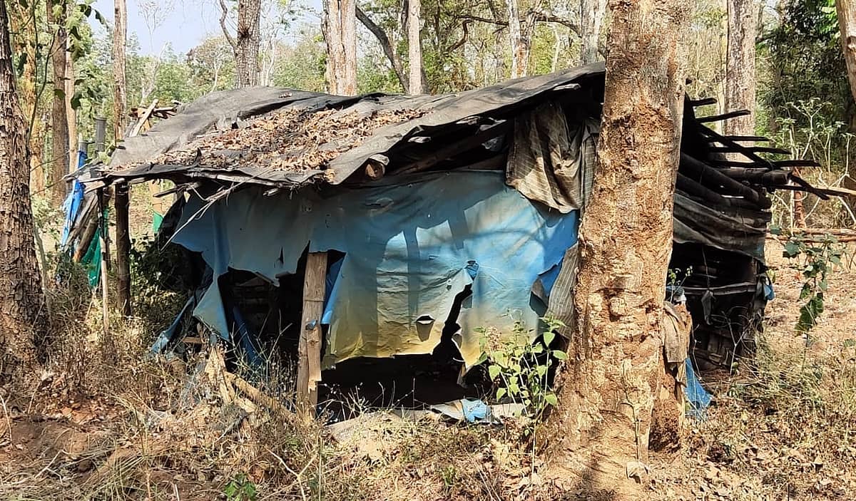 ಕೊಡಗು: ತಾಟಳ್ಳಿ ಬುಡಕಟ್ಟು ಸಮುದಾಯದ 70 ಕುಟುಂಬಗಳಿಗೆ ಮರೀಚಿಕೆಯಾದ ಮೂಲಭೂತ ಸೌಕರ್ಯ!