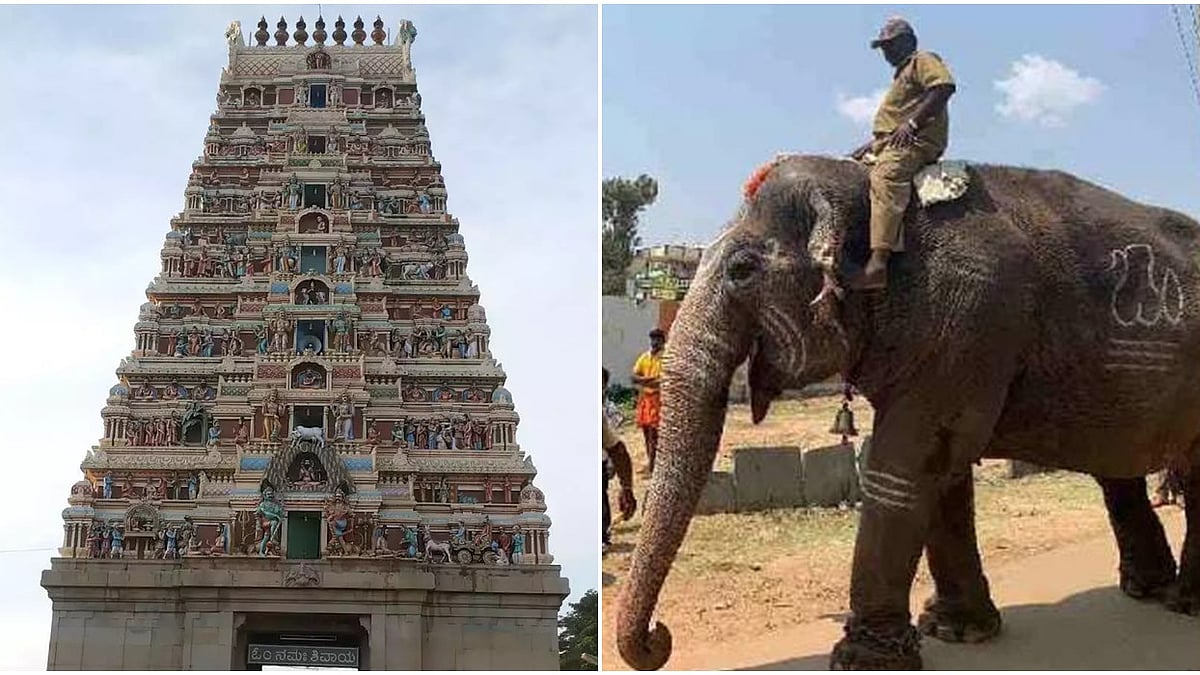 ಕೋಲಾರ: ಯಡಿಯೂರು ಸಿದ್ದಲಿಂಗೇಶ್ವರ ದೇವಾಲಯದ 75 ವರ್ಷದ ಗಂಗಾಶ್ರೀ ಆನೆ ಸಾವು…!