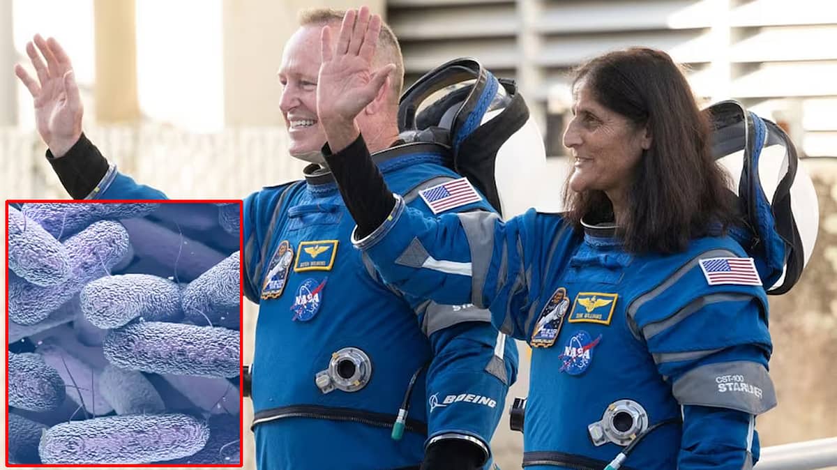 ಬಾಹ್ಯಾಕಾಶ ನಿಲ್ದಾಣಕ್ಕೆ ಹಾರಿರುವ Sunita Williams ತಂಡಕ್ಕೆ ಹೊಸ ತಲೆನೋವು, ಆತಂಕಕಾರಿ 'Spacebug' ಪತ್ತೆ!