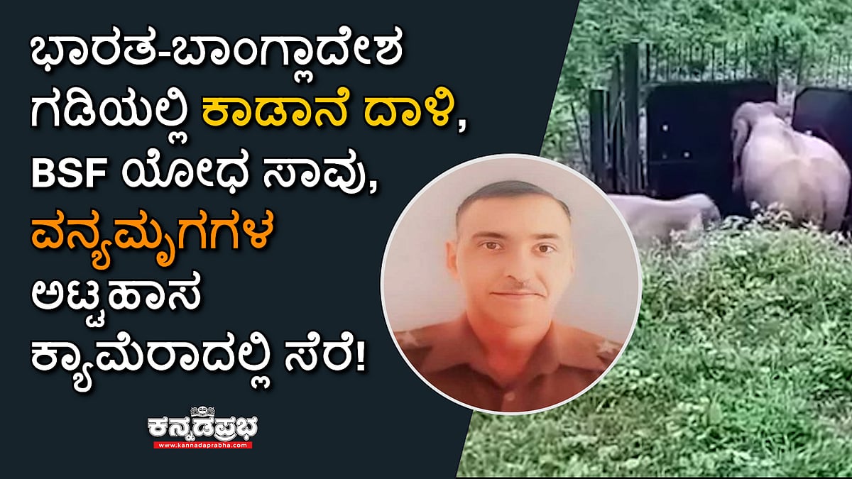 ಗಡಿಯಲ್ಲಿ BSF ಯೋಧನನ್ನು ಅಟ್ಟಾಡಿಸಿಕೊಂಡು ಬಂದು ತುಳಿದು ಕೊಂದ ಕಾಡಾನೆ!