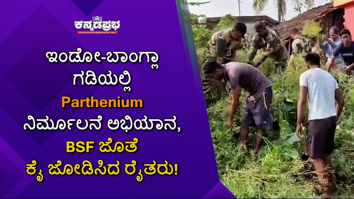 ಇಂಡೋ-ಬಾಂಗ್ಲಾ ಗಡಿಯಲ್ಲಿ Parthenium ನಿರ್ಮೂಲನೆ ಅಭಿಯಾನ, BSF ಜೊತೆ ಕೈ ಜೋಡಿಸಿದ ರೈತರು!
