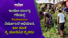 ಇಂಡೋ-ಬಾಂಗ್ಲಾ ಗಡಿಯಲ್ಲಿ Parthenium ನಿರ್ಮೂಲನೆ ಅಭಿಯಾನ, BSF ಜೊತೆ ಕೈ ಜೋಡಿಸಿದ ರೈತರು!
