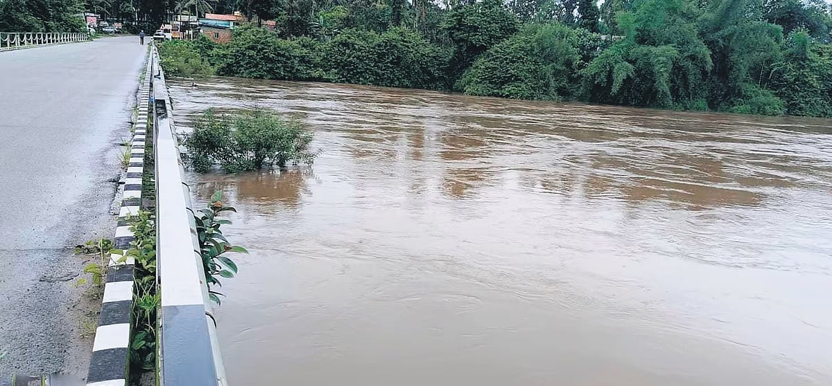 Karnataka Rains: ಕಾವೇರಿ ನೀರಿನ ಮಟ್ಟ ಏರಿಕೆ, ಹಾರಂಗಿ ಒಳಹರಿವು ಹೆಚ್ಚಳ
