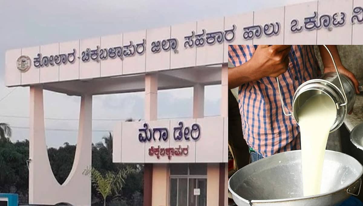 ರೈತರಿಗೆ ಬರೆ: ಹಾಲು ಉತ್ಪಾದಕರಿಗೆ 2 ರೂಪಾಯಿ ಕಡಿತಗೊಳಿಸಿ ಕೋಚಿಮುಲ್ ಆದೇಶ