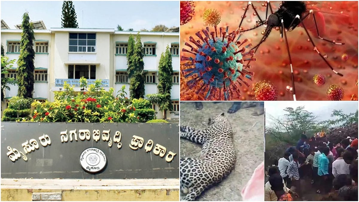 ರಾಜ್ಯದಲ್ಲಿ ಡೆಂಗ್ಯೂ ಅಬ್ಬರ: ಮಾರ್ಗಸೂಚಿ ಪ್ರಕಟ; ಧಾರಾಕಾರ ಮಳೆ: ರೆಡ್ ಅಲರ್ಟ್ ಘೋಷಣೆ!