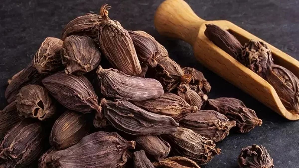 ಕಪ್ಪು ಏಲಕ್ಕಿ (ಸಂಗ್ರಹ ಚಿತ್ರ)