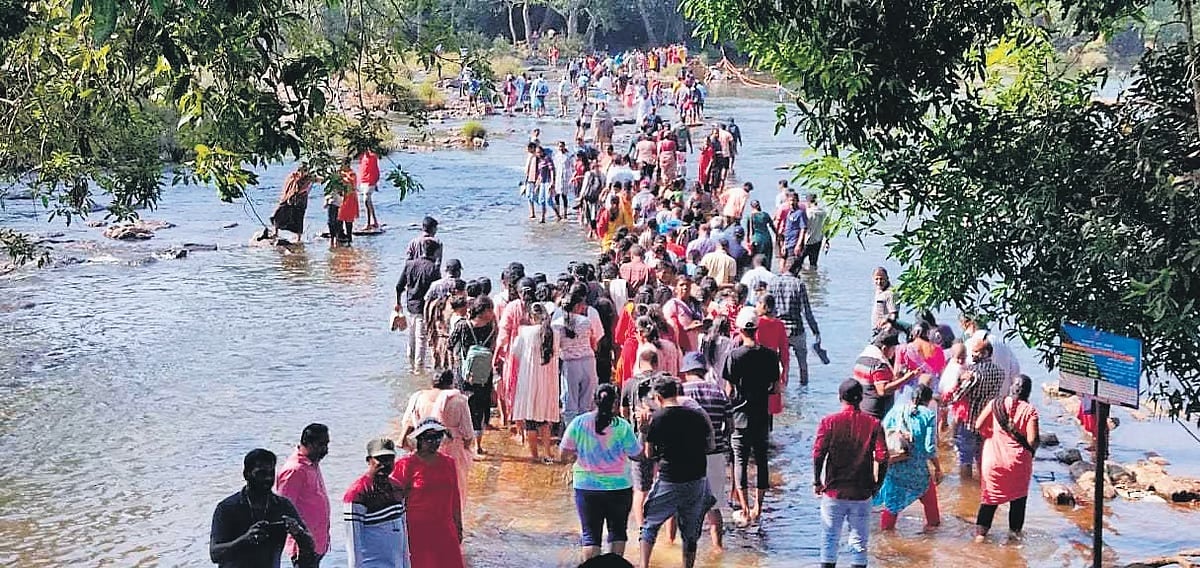 ದುಬಾರೆ ಆನೆ ಶಿಬಿರಕ್ಕೆ ಹೋಗಲು ಪ್ರವಾಸಿಗರ ಹರಸಾಹಸ: ಕಾವೇರಿಗೆ ಅಡ್ಡಲಾಗಿ ತೂಗುಸೇತುವೆ ನಿರ್ಮಿಸುವಂತೆ ಆಗ್ರಹ!