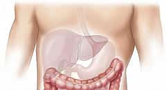 Liver ಅಥವಾ ಯಕೃತ್ತಿನ ಆರೋಗ್ಯ (ಕುಶಲವೇ ಕ್ಷೇಮವೇ)