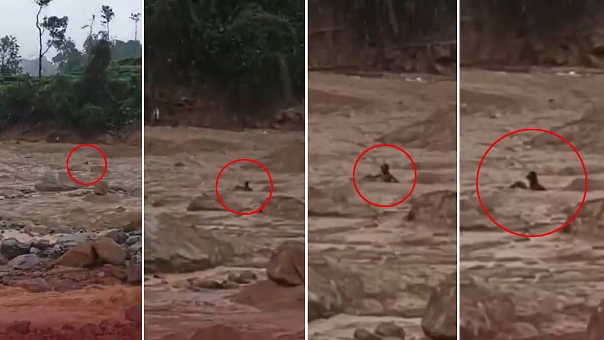 Wayanad landslide: ಗಂಟೆಗಟ್ಟಲೆ ಬಂಡೆಗೆ ಅಂಟಿಕೊಂಡಿದ್ದ ವ್ಯಕ್ತಿಯನ್ನು ರಕ್ಷಿಸಿದ್ದು ರೋಚಕ!