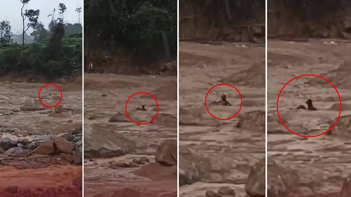 Wayanad landslide: ಗಂಟೆಗಟ್ಟಲೆ ಬಂಡೆಗೆ ಅಂಟಿಕೊಂಡಿದ್ದ ವ್ಯಕ್ತಿಯನ್ನು ರಕ್ಷಿಸಿದ್ದು ರೋಚಕ!