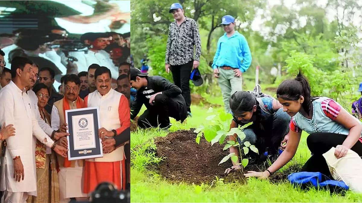 Video: ಒಂದೇ ದಿನ 11 ಲಕ್ಷ ಸಸಿ ನೆಟ್ಟು Indore ದಾಖಲೆ, ದೇಶದ ಸ್ವಚ್ಛ ನಗರಕ್ಕೆ ಮತ್ತೊಂದು ಗರಿ!