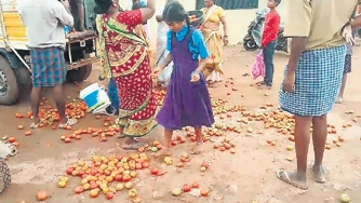 ಬೆಲೆ ಕುಸಿತ: ಟೊಮೆಟೋ ರಸ್ತೆಗೆ ಸುರಿದು ರೈತರ ಆಕ್ರೋಶ