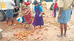 ಬೆಲೆ ಕುಸಿತ: ಟೊಮೆಟೋ ರಸ್ತೆಗೆ ಸುರಿದು ರೈತರ ಆಕ್ರೋಶ