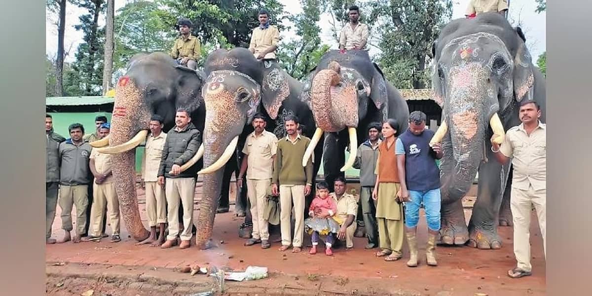 ಪವನ್ ಕಲ್ಯಾಣ್ ಮನವಿ ಪುರಸ್ಕರಿಸಿದ ರಾಜ್ಯ ಸರ್ಕಾರ: ಆನೆಗಳ ತರಬೇತಿಗೆ ಮಾವುತರ ಕಳುಹಿಸಲು ಒಪ್ಪಿಗೆ