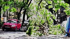 ಬೆಂಗಳೂರಿನಲ್ಲಿ ಮಳೆ ಅವಾಂತರ: ಬೃಹತ್‌ ಗಾತ್ರದ ಮರದ ಕೊಂಬೆ ಬಿದ್ದು 4 ಮಕ್ಕಳು ಸೇರಿ 6 ಮಂದಿಗೆ ಗಾಯ; ಆರೋಗ್ಯ ವಿಚಾರಿಸಿದ ಡಿಸಿಎಂ