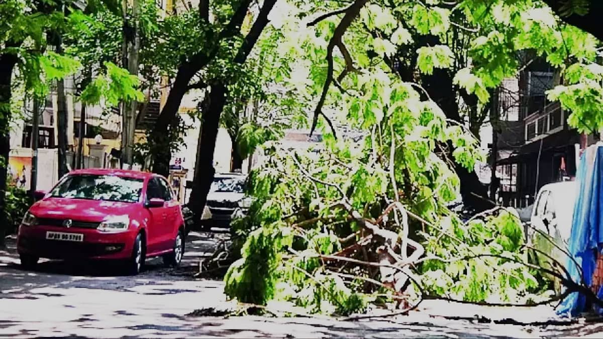 ಬೆಂಗಳೂರಿನಲ್ಲಿ ಮಳೆ ಅವಾಂತರ: ಬೃಹತ್ ಗಾತ್ರದ ಮರದ ಕೊಂಬೆ ಬಿದ್ದು 4 ಮಕ್ಕಳು ಸೇರಿ 6 ಮಂದಿಗೆ ಗಾಯ; ಆರೋಗ್ಯ ವಿಚಾರಿಸಿದ ಡಿಸಿಎಂ