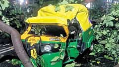 ಬೆಂಗಳೂರು ಮಳೆ: ಧರೆಗುರುಳಿದ ಮರ, ಆಟೋ ರಿಕ್ಷಾ ಚಾಲಕನ ಬಲಿ!
