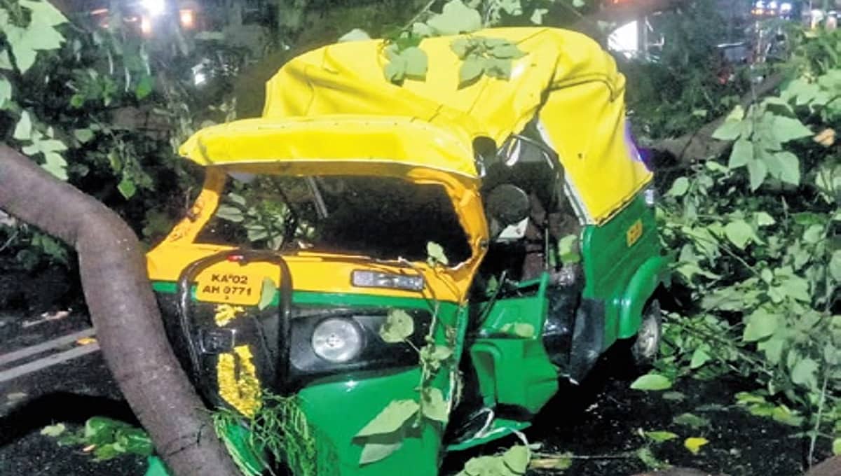 ಬೆಂಗಳೂರು ಮಳೆ: ಧರೆಗುರುಳಿದ ಮರ, ಆಟೋ ರಿಕ್ಷಾ ಚಾಲಕನ ಬಲಿ!