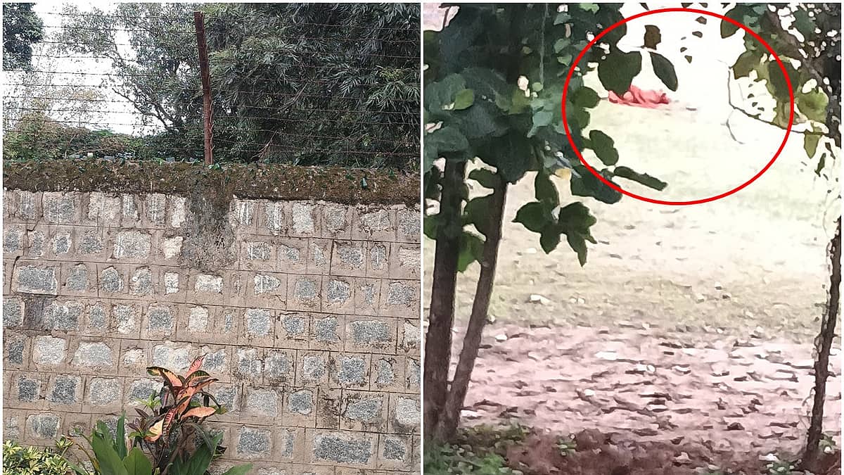 Bengaluru: ವಾಕಿಂಗ್ ಮಾಡುತ್ತಿದ್ದ ಮಹಿಳೆ ಮೇಲೆ ಏಕಾಏಕಿ ಬೀದಿ ನಾಯಿಗಳ ದಾಳಿ, ವೃದ್ಧೆ ಸಾವು