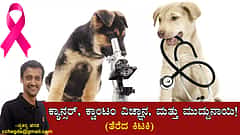 ಕ್ಯಾನ್ಸರ್, ಕ್ವಾಂಟಂ ವಿಜ್ಞಾನ, ಮತ್ತು ಮುದ್ದುನಾಯಿ! (ತೆರೆದ ಕಿಟಕಿ)
