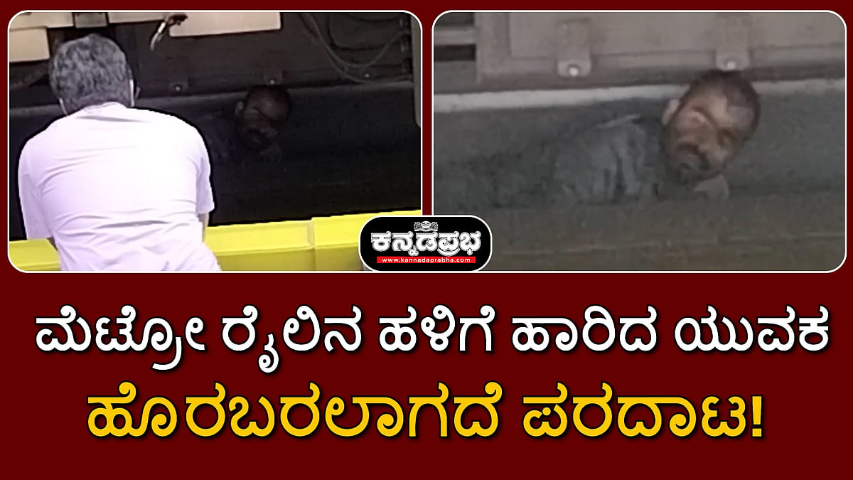 ನಮ್ಮ ಮೆಟ್ರೋ ಅವಘಡ: ರೈಲಿನ ಹಳಿಗೆ ಹಾರಿದ ಯುವಕ, ಹೊರಬರಲಾಗದೆ ಪರದಾಟ