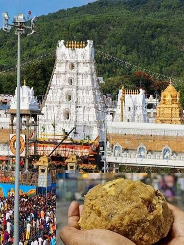 Tirupati Laddu row- ವಿವಾದ ಹುಟ್ಟುಹಾಕಿರುವ ತಿರುಪತಿ ಲಡ್ಡಿನ ಬಗ್ಗೆ ನಿಮಗೆಷ್ಟು ಗೊತ್ತು?