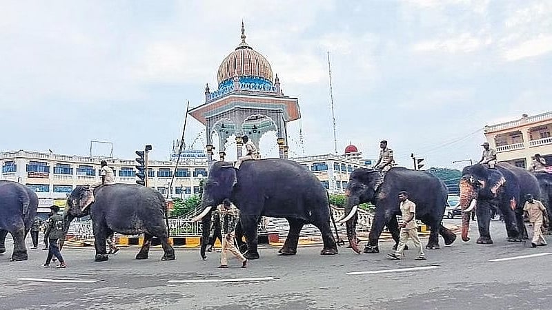 ಮೈಸೂರು: ದಸರಾ ಆನೆಗಳ ಮುಂದೆ ಸೆಲ್ಫೀ, ರೀಲ್ಸ್'ಗೆ ನಿಷೇಧ..!