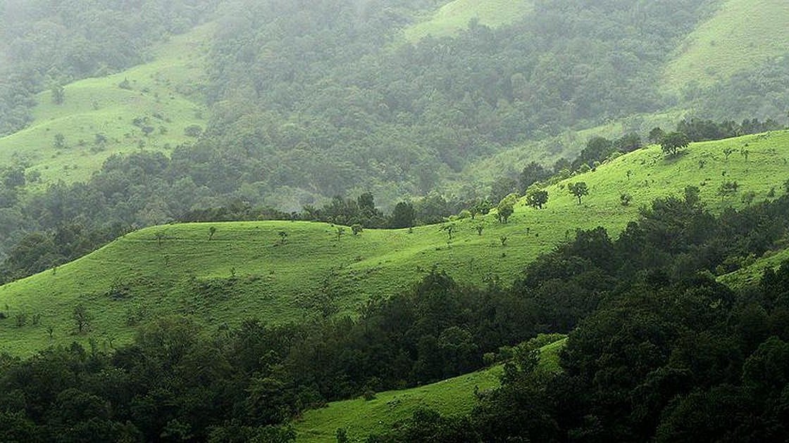 ಪಶ್ಚಿಮ ಘಟ್ಟಗಳ ಕುರಿತ ಕಸ್ತೂರಿ ರಂಗನ್ ವರದಿ ತಿರಸ್ಕರಿಸಲು ಸಂಪುಟ ಸಭೆಯಲ್ಲಿ ನಿರ್ಣಯ